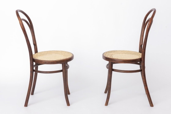 Image 1 of Set of 2 Antique Thonet Bentwood Chairs, Vienna Cafe Chairs, Early 1900s Austrian Chairs, Restored Rattan Seats