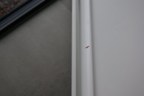 Image 1 of Tables d'appoint Peter Chyczy