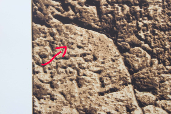 Image 1 of Print by Klaus Littmann 1972