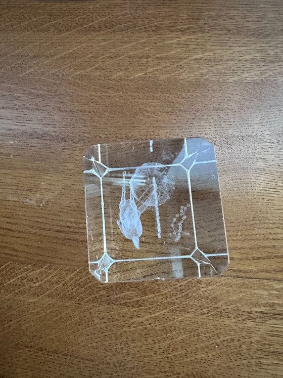 Scultura tridimensionale in cristallo del segno zodiacale del Sagittario – Oggetti decorativi, Glass (photo 6 of 8)