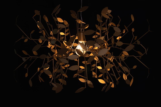 Image 1 of Verano indio, gran oro