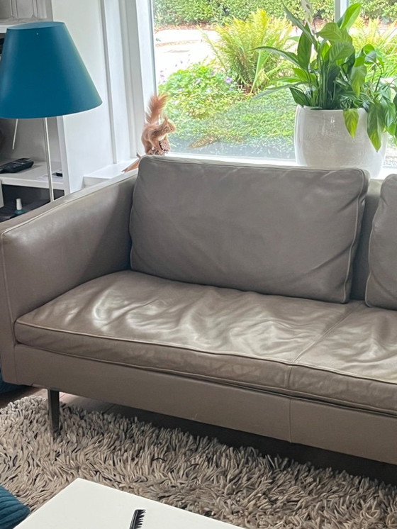 Image 1 of Molinari Modelo Aspen, Color Hígado 2017