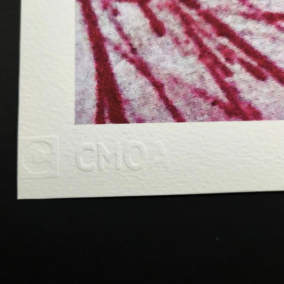 Image 1 of Lithographie en édition limitée « Fleurs » d'Andy Warhol par CMOA - 50 x 50 cm