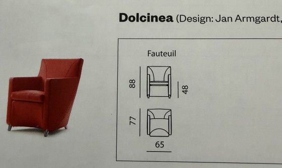 Fauteuil design Leolux Dolcinea en cuir rouge. – Leather, Aluminium (photo 11 of 11)