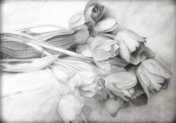 Image 1 of Charcoal drawing of tulips on paper. Tulip painting. Tulip drawing. Flower drawing. Flower painting. Signed.