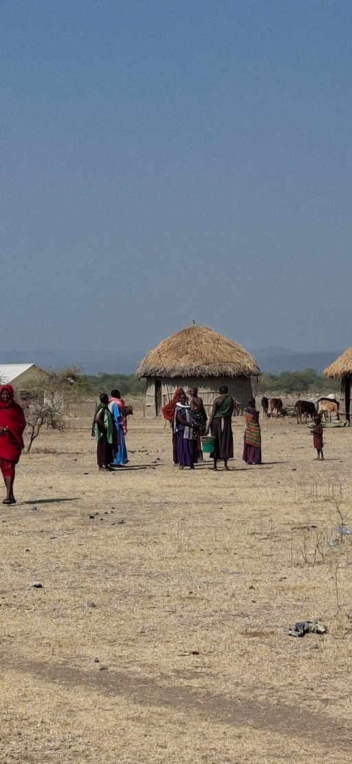 Lámpara colgante Wever Ducre JJW04