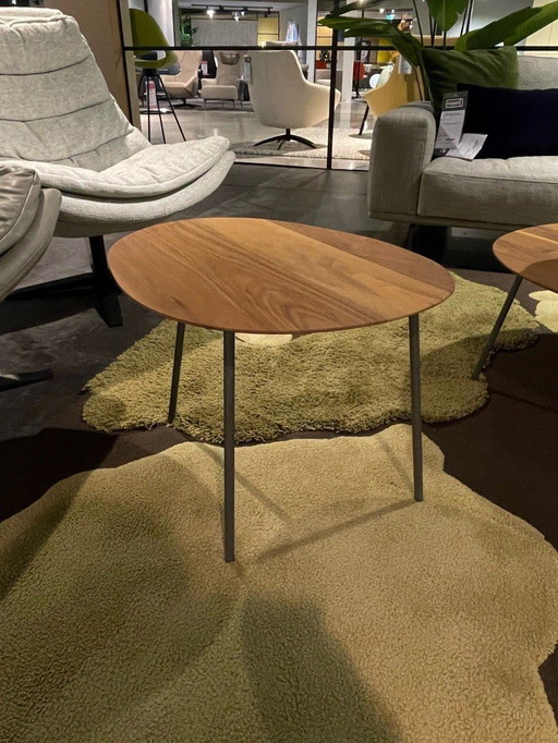 Movani Newton Walnut