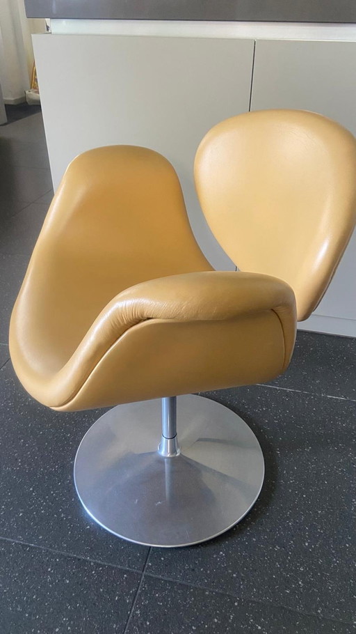 Fauteuil tulipe en cuir Artifort