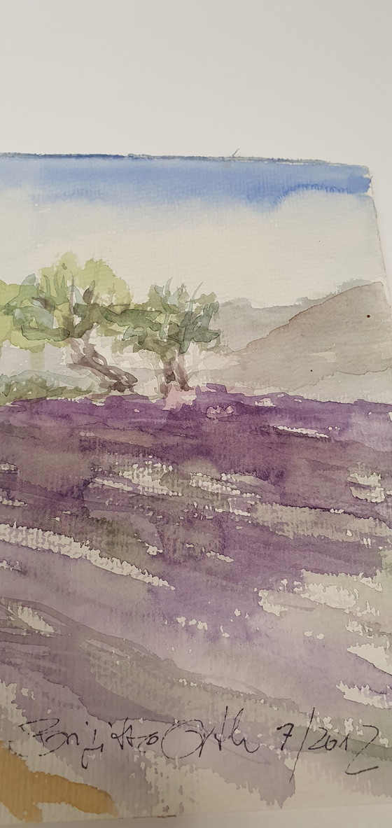 Image 1 of Watercolor Provence 20 x 50