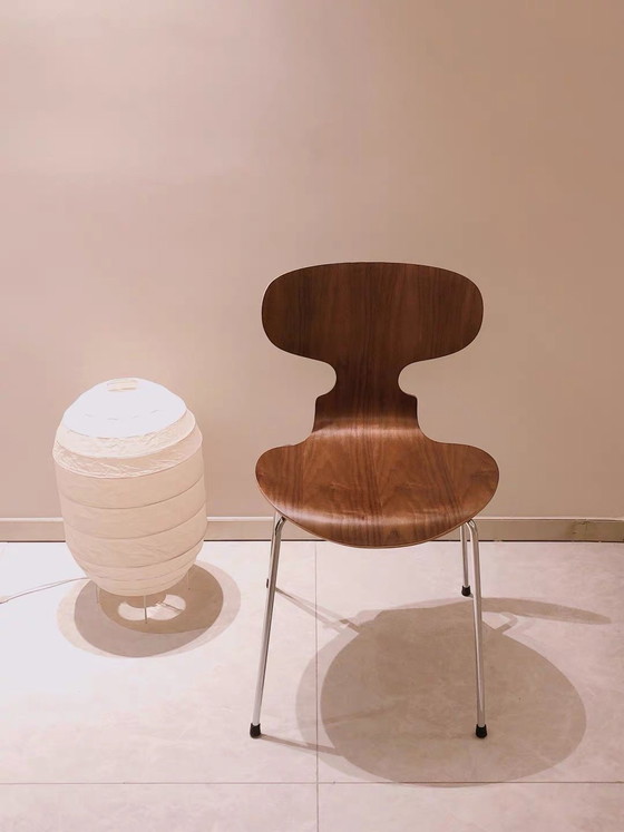 Image 1 of Silla escultural "Alas de Mariposa" – Nogal y latón pulido

