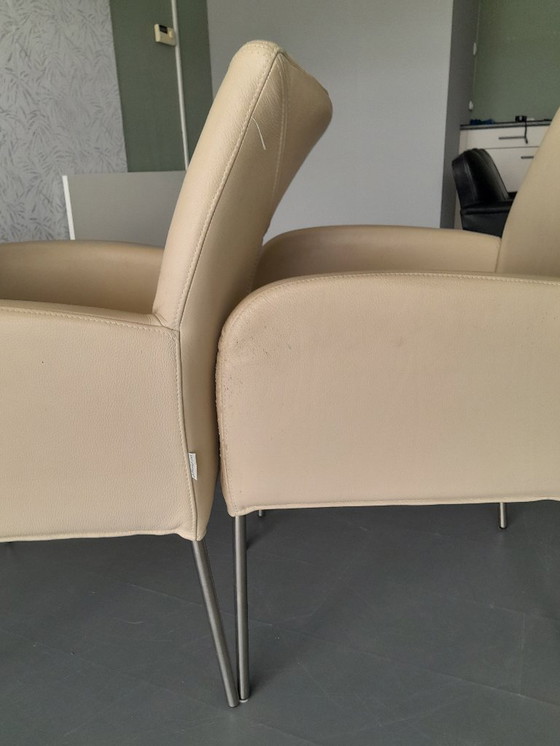 Image 1 of Plantagie Leer wit 6 stuks