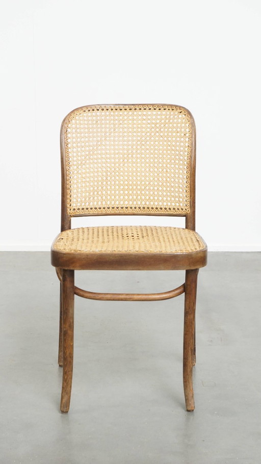 Charming bistro chair in the style of Thonet