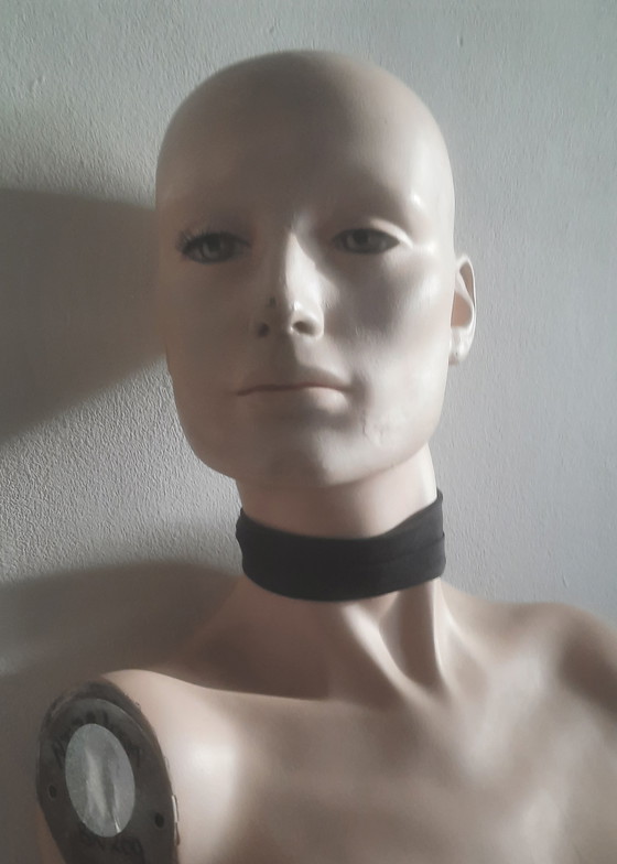 Image 1 of Torso di manichino femminile Lupo e Vine Greneker 