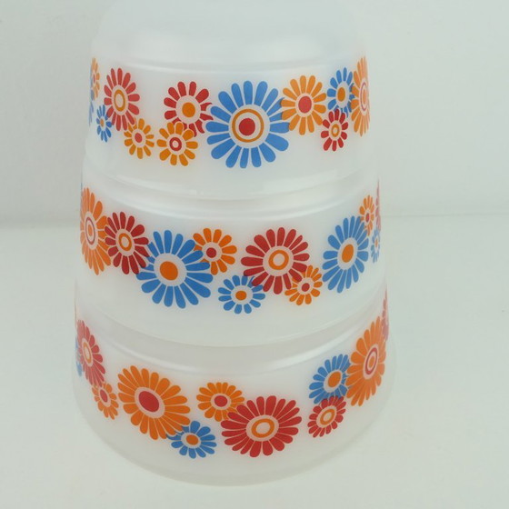 Image 1 of 3 Plats de service Schott & Gen Mainz avec fleurs