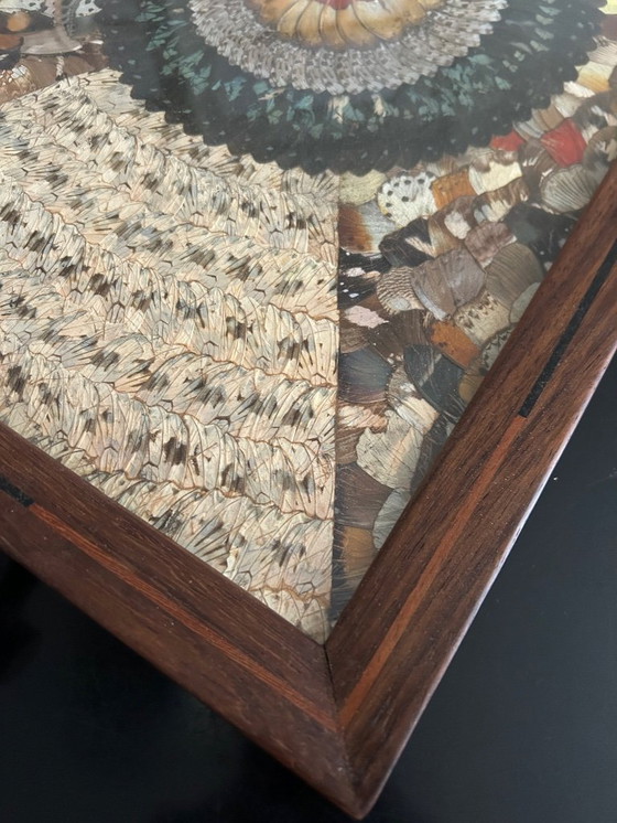 Image 1 of vassoio in legno decorato con ali di farfalla