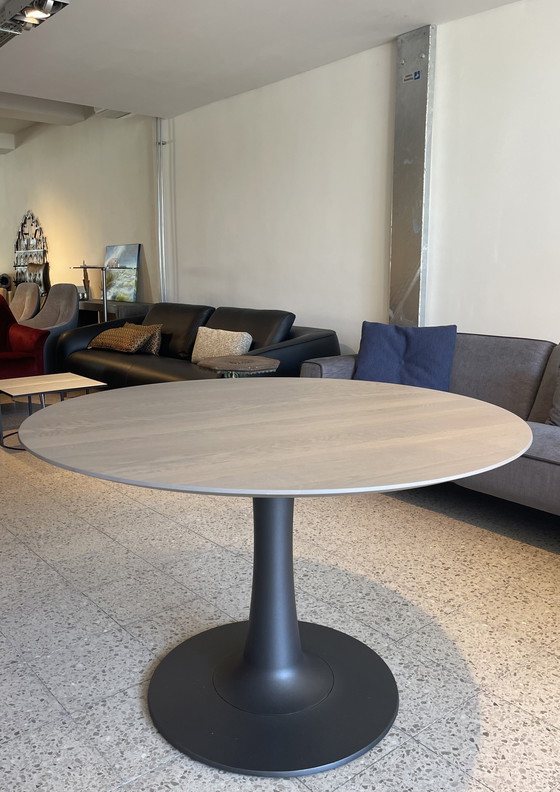 Image 1 of Leolux Columna Dining Table Oak Pistache Matt New