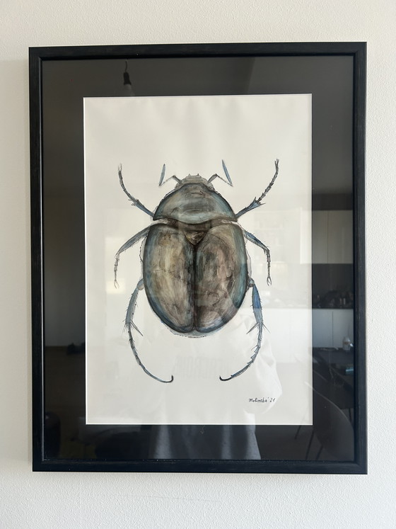 Image 1 of Originele "Macro-entomologie"-studies van Natalia Molinska (2021)

