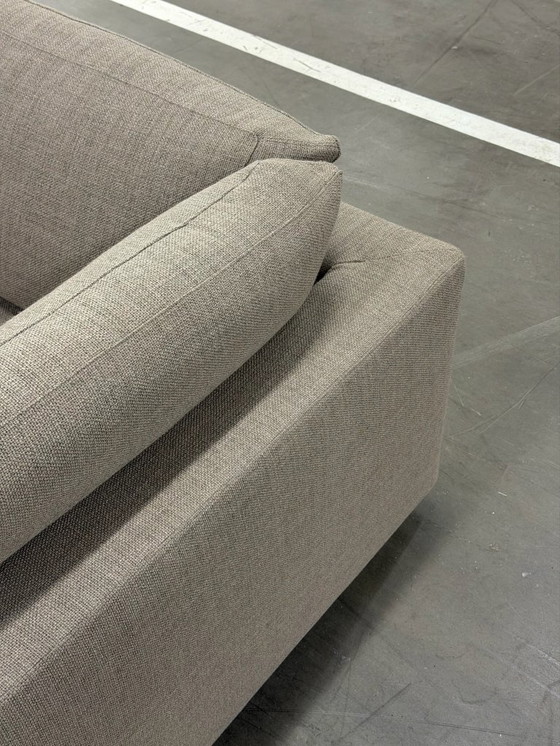 Image 1 of Linteloo Mauro | Tortora