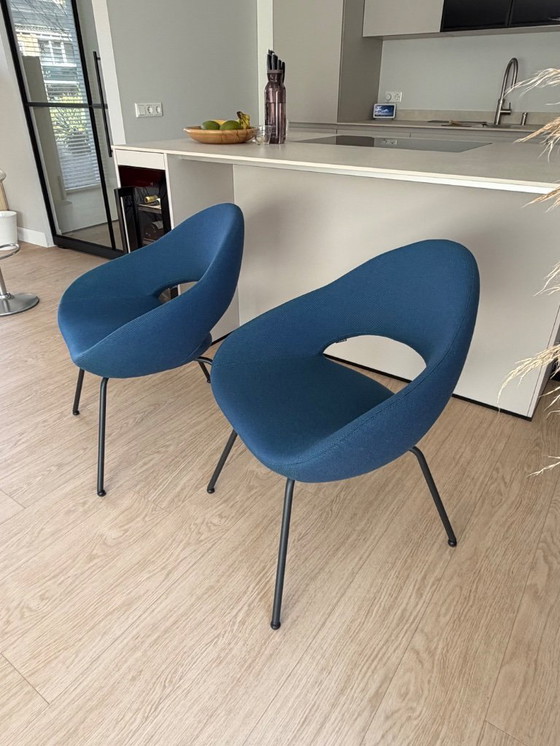 Image 1 of 4 design Artifort Shark eetkamerstoelen!