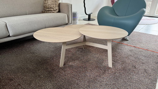 Leolux Ninfea coffee table