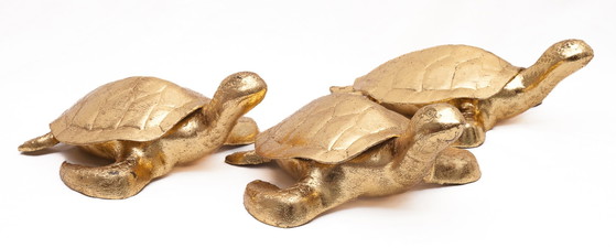 Set di 3 tartarughe portafortuna, Oggetti decorativi, Ottone, Oro, Dorato (foto 6 di 11)
