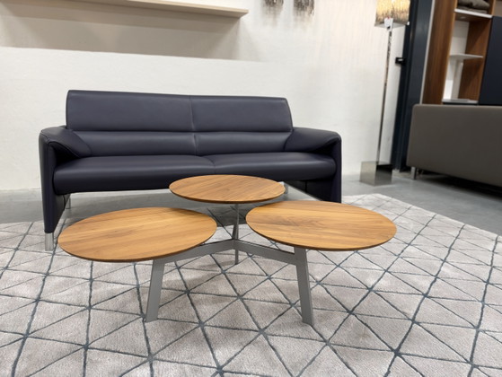 Leolux Ninfea Coffee table walnut houf, Wood, Multi Color (photo 13 of 14)