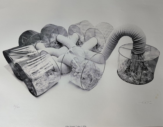 Image 1 of Genummerde zeefdruk - Ellie Vossen - Gesigneerd