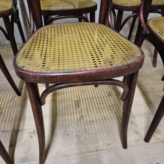 Image 1 of Set van 6 eetkamerstoelen, Thonet-stijl, jaren 60, Tsjecho-Slowakije