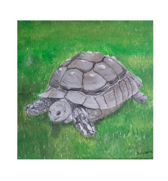 Image 1 of Schilderij schildpad