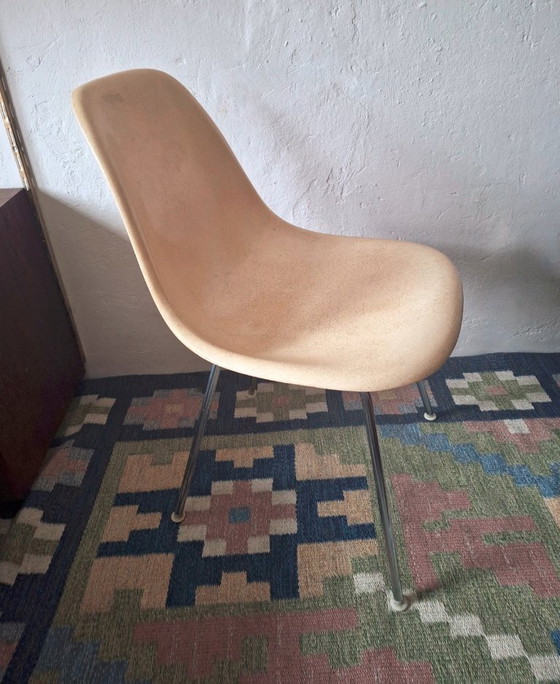 Image 1 of Silla DSX de fibra de vidrio de principios de los 50, diseñada por Charles y Ray Eames para Herman Miller.