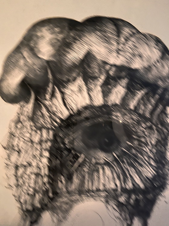 Image 1 of Sérigraphie D Sovic