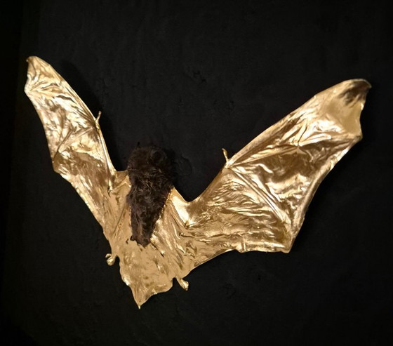 Image 1 of Vero pipistrello tassidermizzato placcato in oro 23kt in cornice