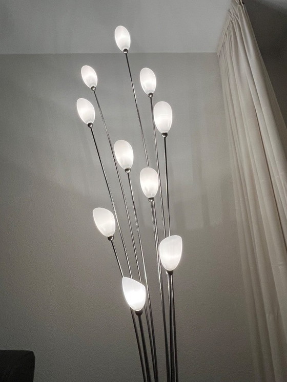 Image 1 of Harco Loor Wings 10