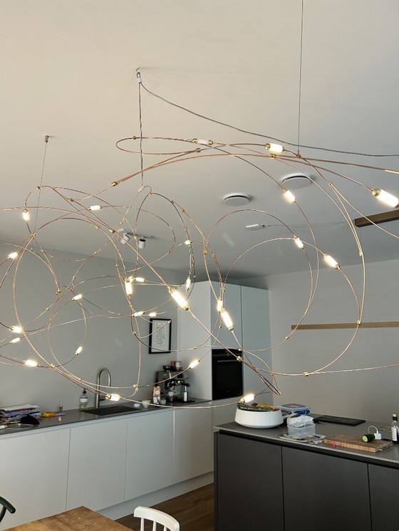 Image 1 of MOOOI - stormo di luce 31