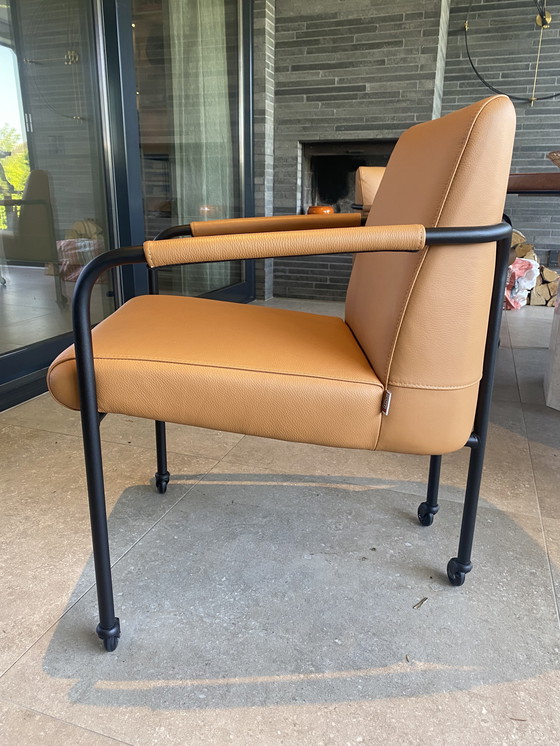 Image 1 of 6x Movani Design Esstischstühle - NEW