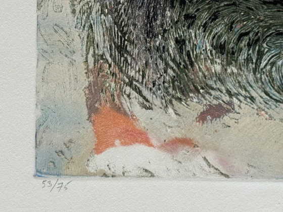 Image 1 of Litografia "Metamorfosi" di Shirley Estelle Witebsky