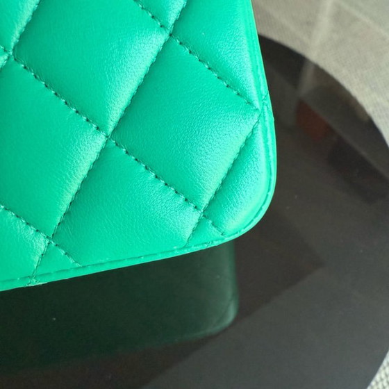 Image 1 of Chanel Classic Flap Medium - 25CM Quilted Lambskin Light Green Silver Hardware Series 16