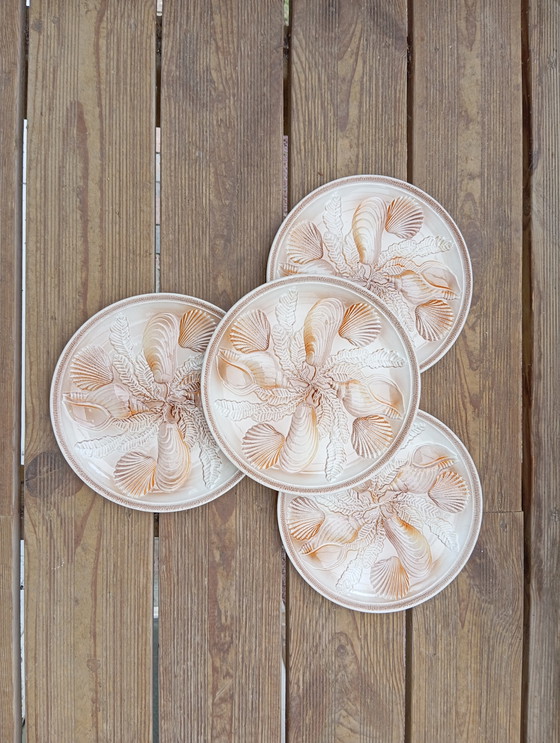 Image 1 of 4 assiettes à coquillages / crustacés 1960, Ateliers du Revernay - France