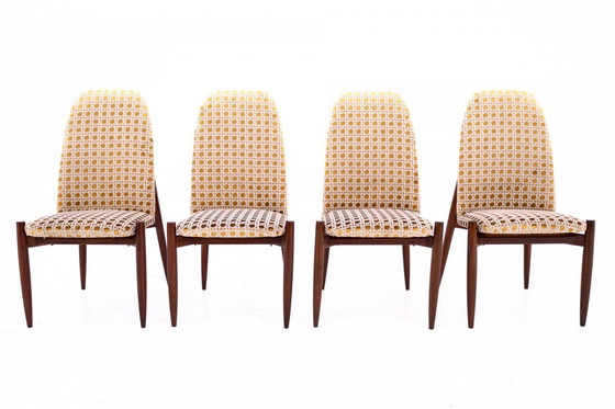 Image 1 of Set di 4 sedie, Cecoslovacchia, anni '50.