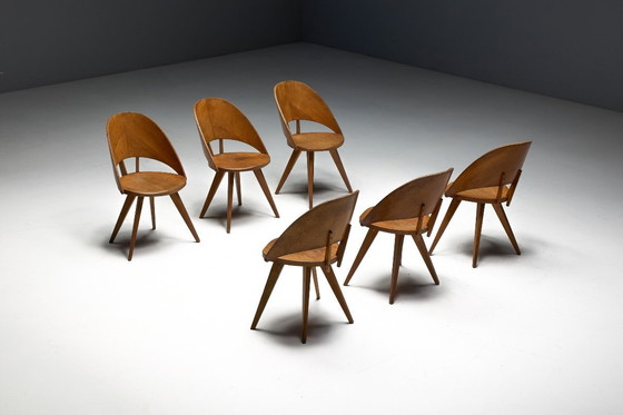 Image 1 of Mid-Century Plywood Dining Chairs, Italy, 1950s