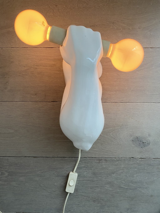 Ontwerp halterlamp JC Peiré