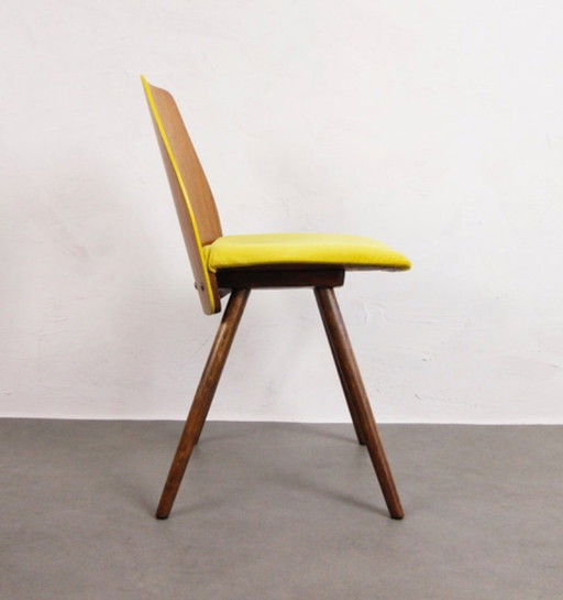 4x Chairs Tatra Pravenec "Morning Sun"