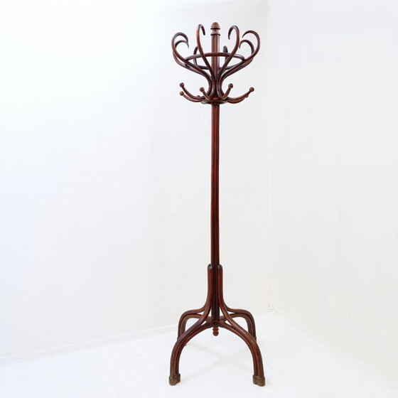Image 1 of Grote kapstok van gebogen hout in de stijl van een papegaai, in de Thonet-uitvoering – begin 20e eeuw