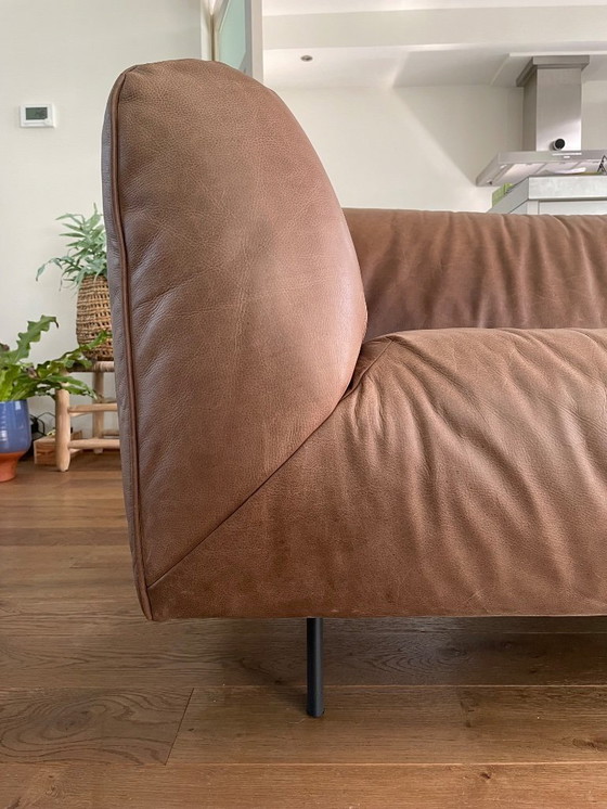 Image 1 of Label, Moby Dick 3 zits