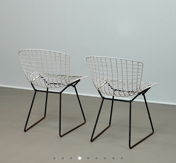 Image 1 of Knoll International HARRY BERTOIA 1 Chaise