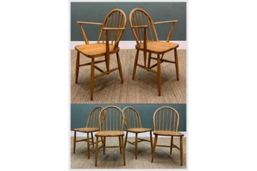 Set di 6 sedie da pranzo vintage Ercol Windsor di metà secolo