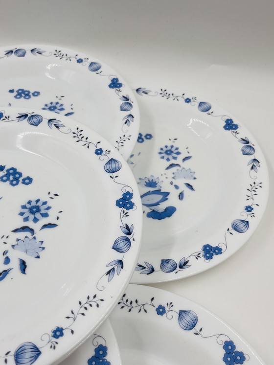 Image 1 of Lot de 8 assiettes model:Aster