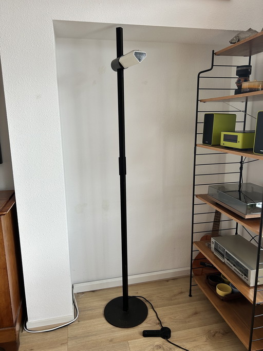 Floor lamp design Gianfranco Frattini for Luci, Italy, 1970s Caltha floor lamp designed by Gianfranco Frattini for Luci Italy