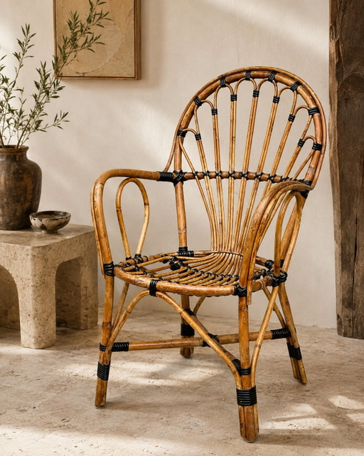 Vintage Rattan Peacock Armchair – France, 1970s – fauteuils, Plastic