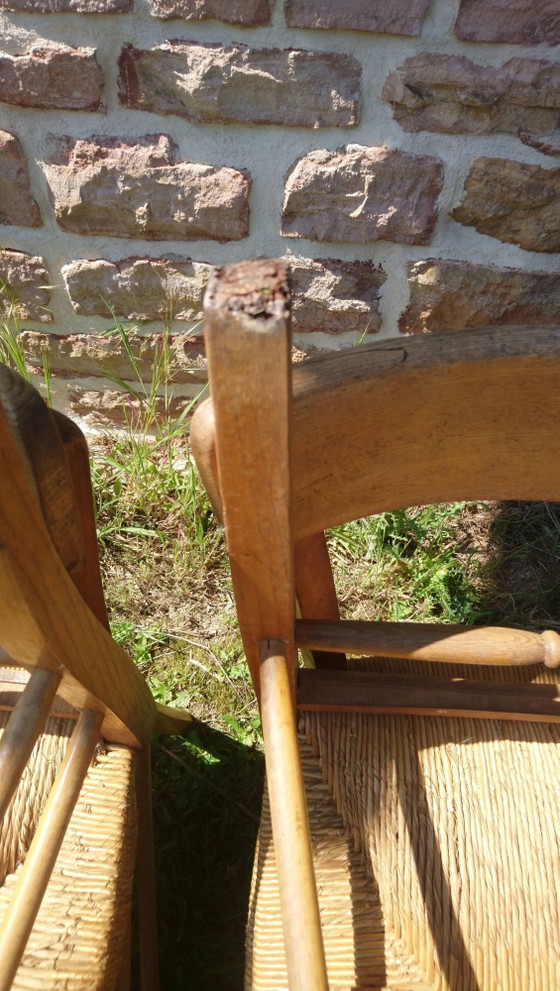 6 sedie da bistrot in paglia e faggio – Sedie da pranzo, Wood, Vintage (photo 12 of 15)
